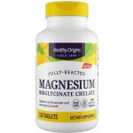 Healthy Origins Hořčík bisglycinát 120 tablet – Hledejceny.cz