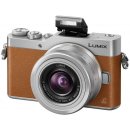 Panasonic Lumix DMC-GX800