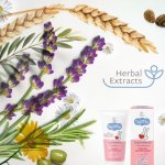 Bebble dětská jahoda 50 ml – Hledejceny.cz