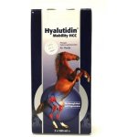Hyalutidin Mobility HCC 2 x 500 ml – HobbyKompas.cz