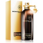 Montale Aoud Forest parfémovaná voda unisex 100 ml – Hledejceny.cz