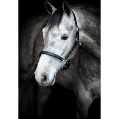 HorseGuard Ohlávka kožená Sabine černá – Zboží Mobilmania