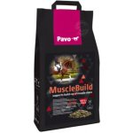 Pavo Muscle Build pro rychlý vývoj svalů pytel 3 kg – Hledejceny.cz