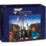 Ravensburger Dali: Labutě odrážející slony 1000 dílků – Zbozi.Blesk.cz