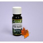 Saloos esenciální olej Zimní kouzlo 10 ml – Hledejceny.cz