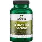 Swanson Boswellia Serrata 500 mg 120 kapslí – Hledejceny.cz