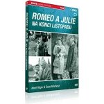 Romeo a Julie na konci listopadu DVD – Zboží Mobilmania