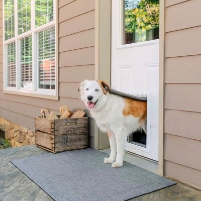 PetSafe Extreme Weather Door L šedá 34,1 x 50,8 x 8,3 cm – Sleviste.cz
