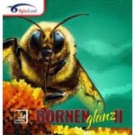 Spinlord Dornenglanz II – Hledejceny.cz