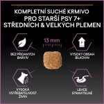 Pro Plan Medium & Large Adult 7+ Age Defence kuře 14 kg – Zbozi.Blesk.cz