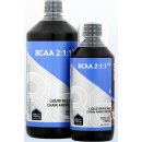 Dex Nutrition BCAA 2:1:1 1000 ml
