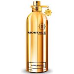 Montale Aoud Greedy Montale parfémovaná voda unisex 100 ml – Hledejceny.cz