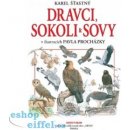 Dravci, sokoli a sovy