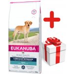 Eukanuba Labrador Retriever 12 kg – Hledejceny.cz