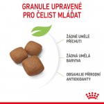 Royal Canin Giant Junior 15 kg – Zboží Dáma