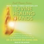 Divine Healing Hands: Experience Divine Power to Heal You, Animals, and – Hledejceny.cz