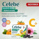 Cetebe Herba 30 tablet – Hledejceny.cz