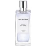 Angel Schlesser Les Eaux D'un Instant Luminous Violet toaletní voda dámská 100 ml – Hledejceny.cz