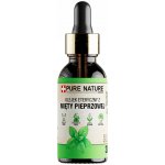 Pure Chemical esenciální olej Máta 30 ml – Hledejceny.cz
