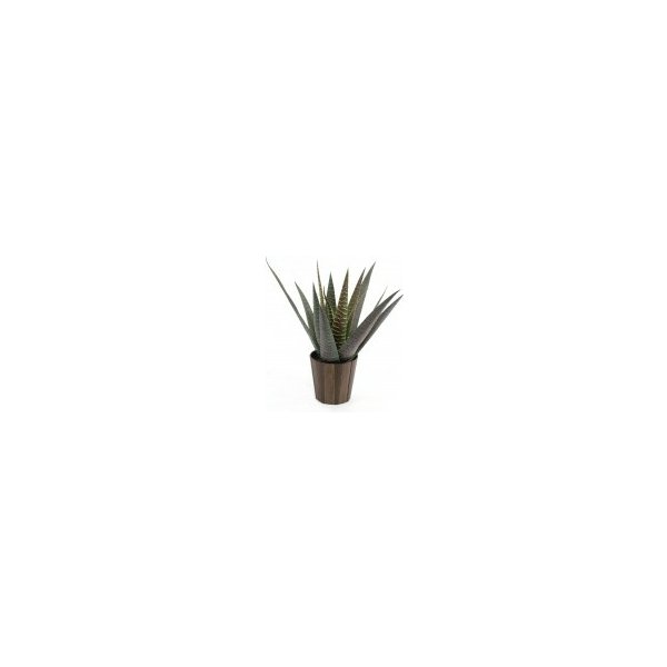 Květina Agave kaktus s květináčem 36 cm