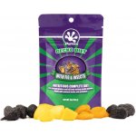 Pangea Gecko Diet Fig & Insects 56 g – Zbozi.Blesk.cz
