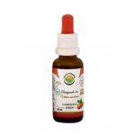 Salvia Paradise Ašvaganda Vitánie AF tinktura Bio 30 ml – Hledejceny.cz