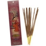 Rymer Vonné tyčinky RAGINI GAUDI sweetgrass 10 ks – Hledejceny.cz