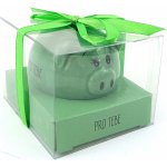 Albi Prasátko pro radost pokladnička Pro Tebe 6 x 7,5 cm – Zbozi.Blesk.cz