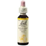 Bachovy květové esence Sveřep větevnatý Wild Oat 20 ml – Hledejceny.cz