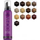 Barva na vlasy Schwarzkopf Igora Expert Mousse 7-0 100 ml