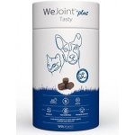 WePharm WeJoint Plus Tasty malé plemeno a kočky 30 ks – Hledejceny.cz