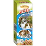 Avicentra Tyčinka Hlodavec ořechy a kokos 2 x 60 g – Sleviste.cz
