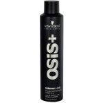 Schwarzkopf Osis Session Label Strong Hold Hairspray 500 ml – Hledejceny.cz