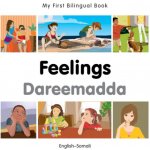 My First Bilingual Book-Feelings (English-Somali) - (Milet Publishing)(Board Books) – Hledejceny.cz