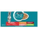 PURINA ONE STERILCAT minifiletky s hovězím a mrkví 40 x 85 g