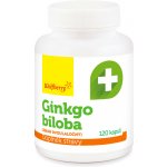 Wolfberry Ginkgo biloba 120 kapslí – Hledejceny.cz