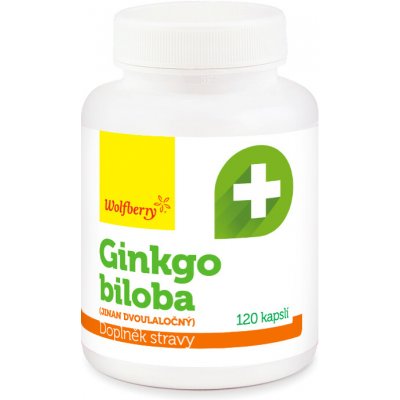 Wolfberry Ginkgo biloba 120 kapslí – Hledejceny.cz