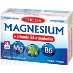 Terezia Magnesium + vitamin B6 a meduňka 30 kapslí – Hledejceny.cz