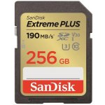SanDisk SDXC UHS-I U3 256 GB SDSDXWV-256G-GNCIN – Hledejceny.cz