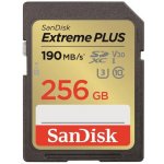 SanDisk SDXC UHS-I U3 256 GB SDSDXWV-256G-GNCIN – Zboží Živě