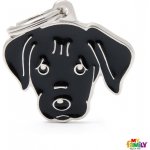 My Family LABRADOR gravírovateľný přívěsek 2,6 x 3,3 cm – Zboží Dáma