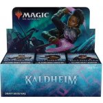 Wizards of the Coast Magic The Gathering: Kaldheim Draft Booster Box – Hledejceny.cz