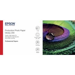 Epson C13S450372