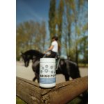 Dromy Amino PURE 1 kg – Hledejceny.cz