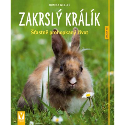 Zakrslý králík – Hledejceny.cz