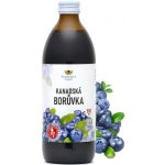 Ekomedica Kanadská borůvka 0,5 l