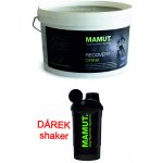 Mamut Recovery Drink 800 g – Hledejceny.cz