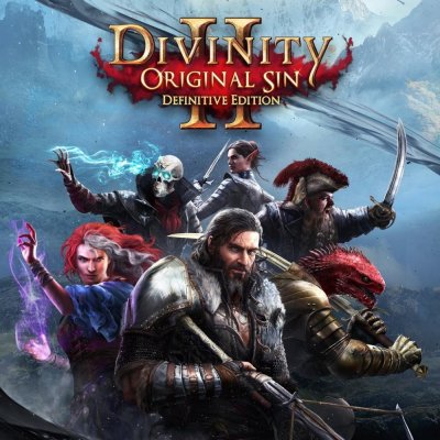 Divinity: Original Sins 2 (Definitive Edition) – Zboží Mobilmania