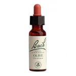 Bachovy květové esence Oliva Olive 20 ml – Hledejceny.cz