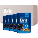 Brit Premium Cat Kitten Chicken Chunks 24 x 100 g – Zboží Mobilmania